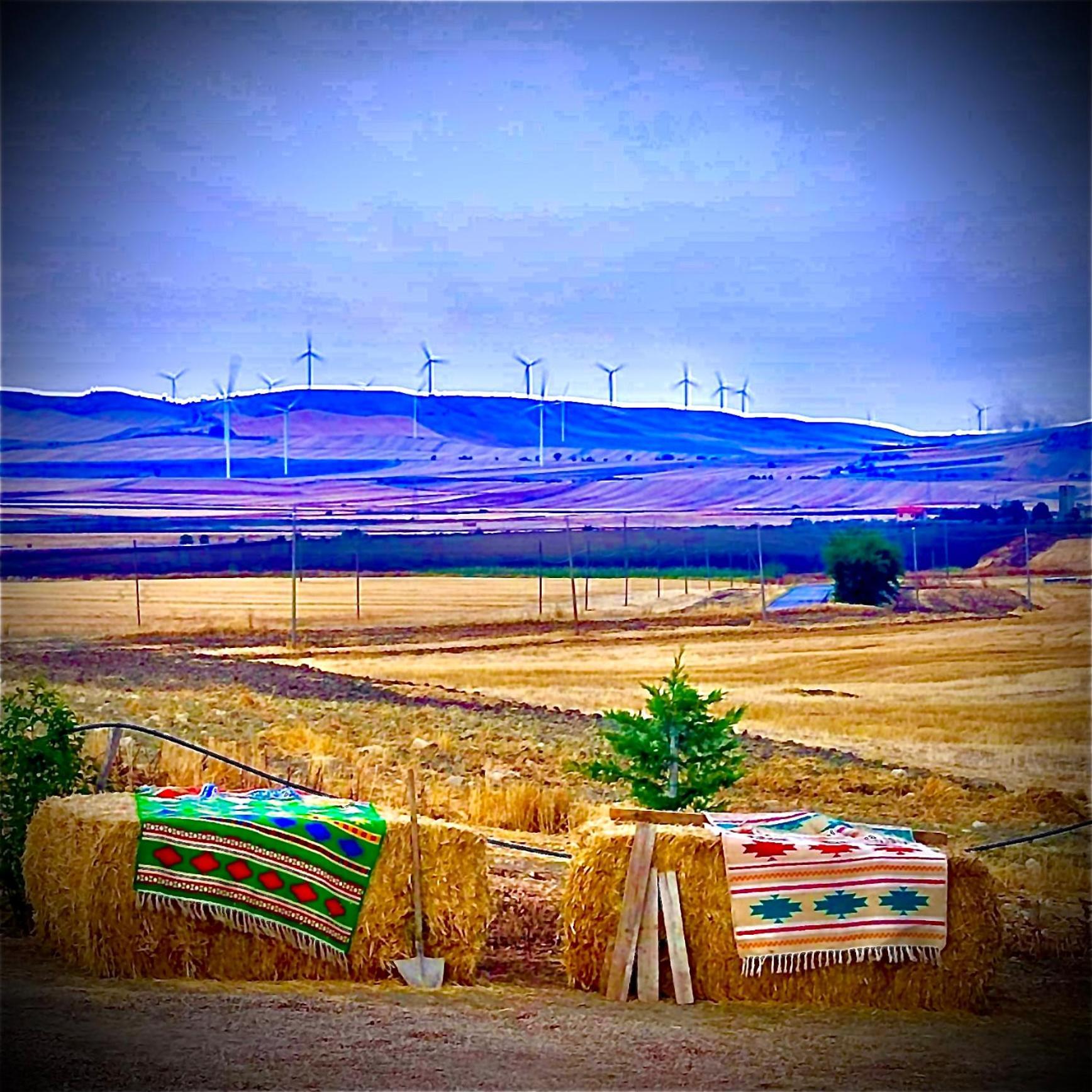 Antica Masseria Il Casone Candela Extérieur photo